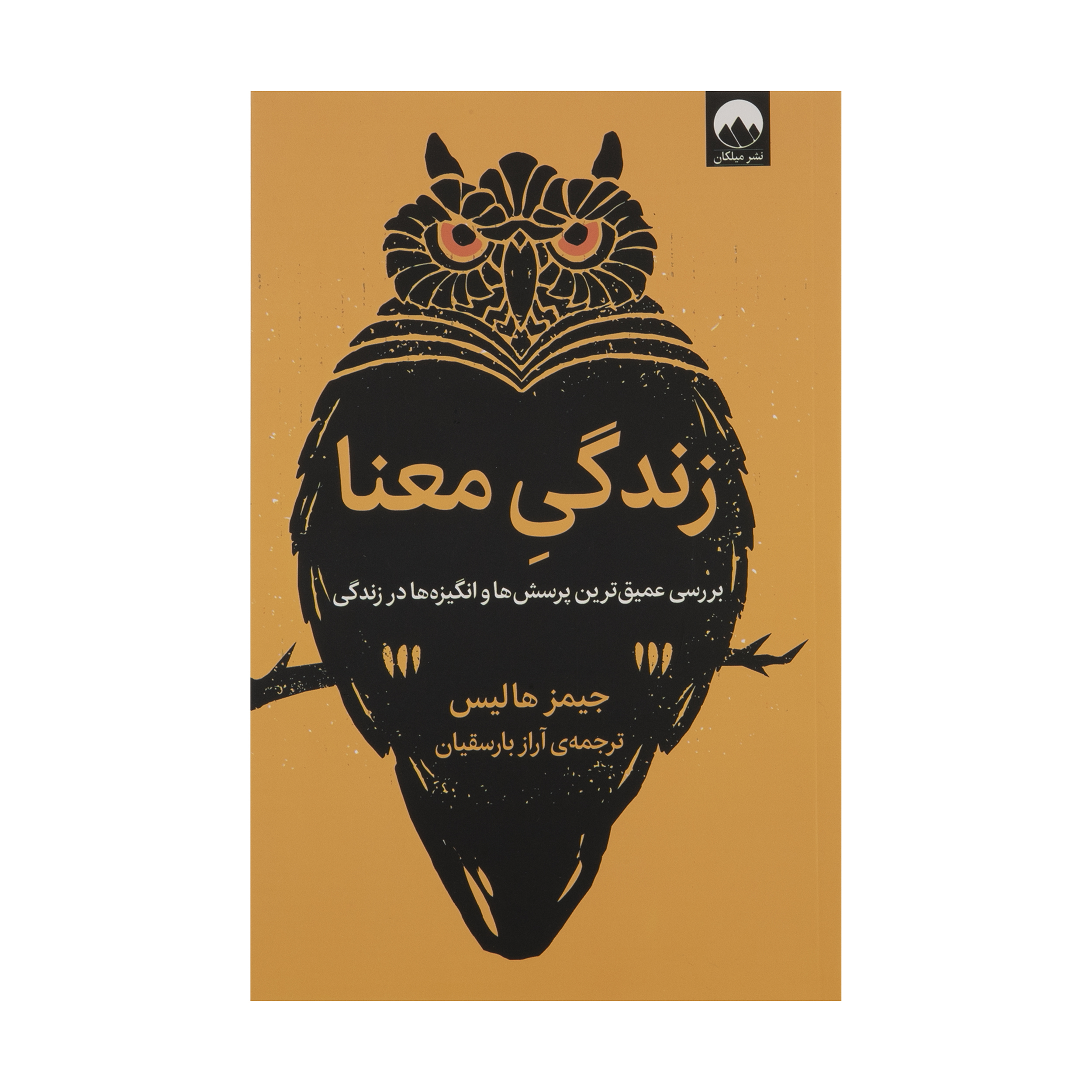 کتاب زندگی معنا اثر جیمز هالیس نشر میلکان