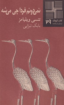 کتاب کوچک نمیدونم فردا چی میشه نوشته تنسی ویلیامز انتشارات نیلا