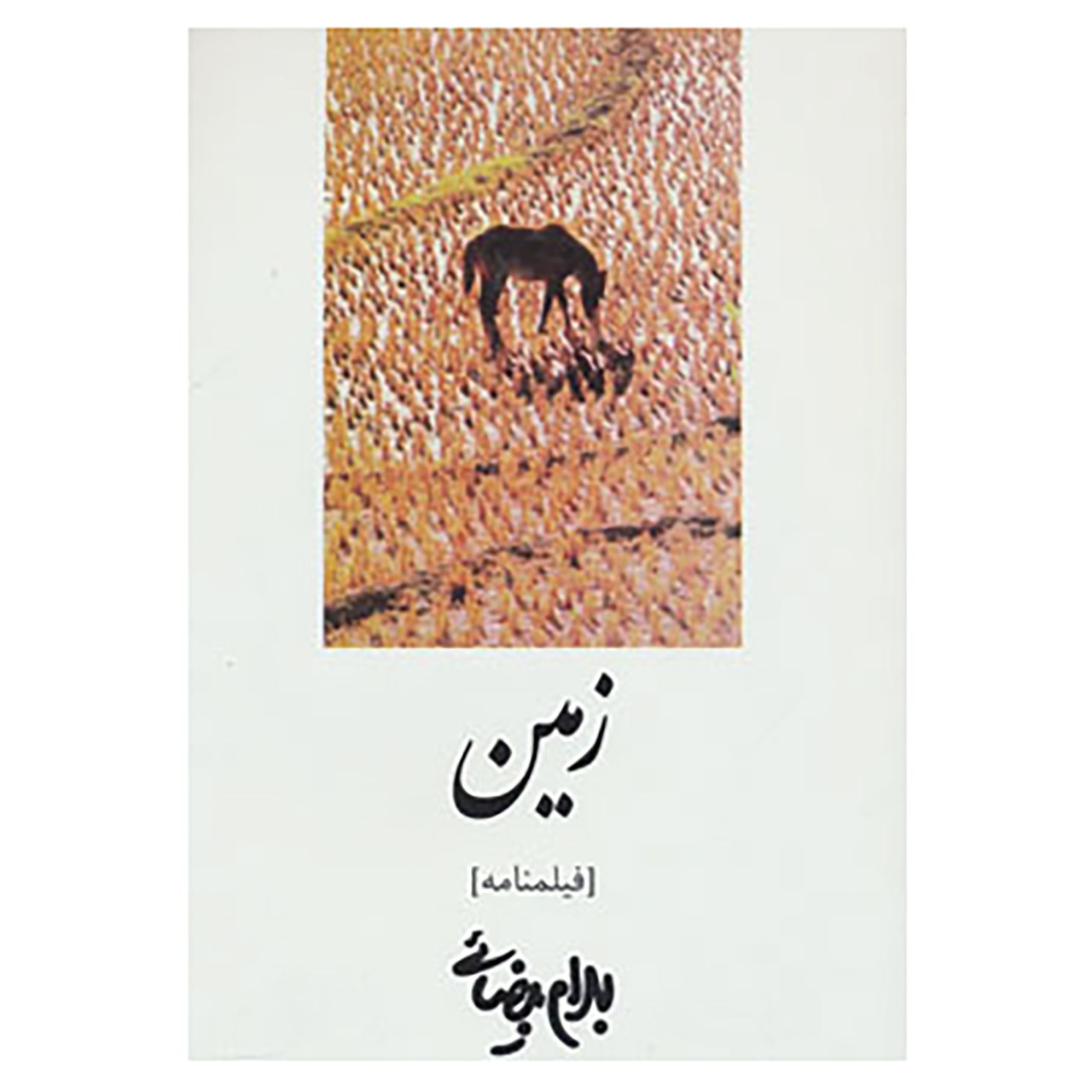 کتاب فیلمنامه زمین اثر بهرام بیضایی نشر روشنگران و مطالعات زنان